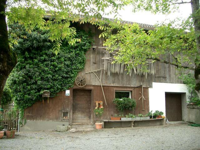 Hotel Gasthaus Schaefle Burserberg Bagian luar foto